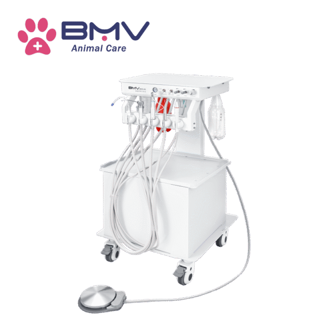 BDS-6 Vet Veterinary Dentistry Solutions