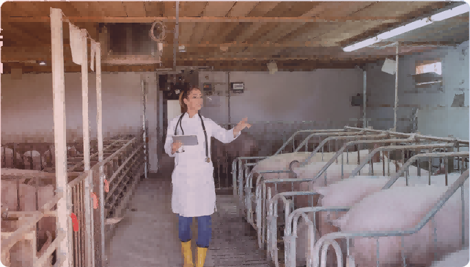 BMV SMART AGRI (4) BMV SMART AGRI (4)