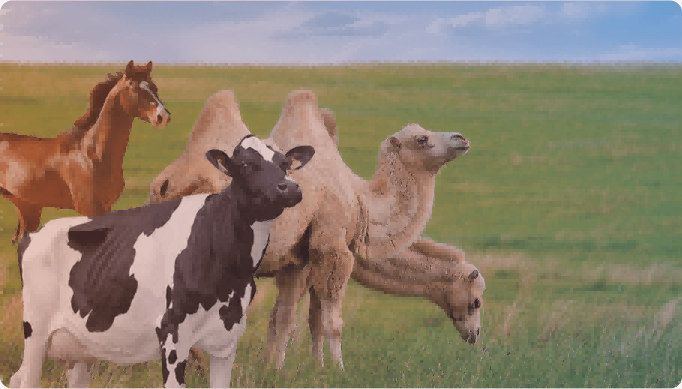 BMV SMART AGRI (6) BMV SMART AGRI (6)